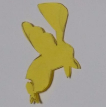 【剪纸教程】对称剪纸小鸟的步骤图解-两只小鸟-正解网