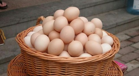一筐鸡蛋： 1个1个拿，正好拿完。 2个2个拿，还剩1个。 3个3个拿，正好拿完。 4个4个拿，还剩1个。 5个5个拿，还剩4个。 6个6个拿，还剩3个。 7个7个拿，正好拿完。 8个8个拿，还剩1个。 9个9个拿，正好拿完。 问筐里有多少鸡蛋？-正解网